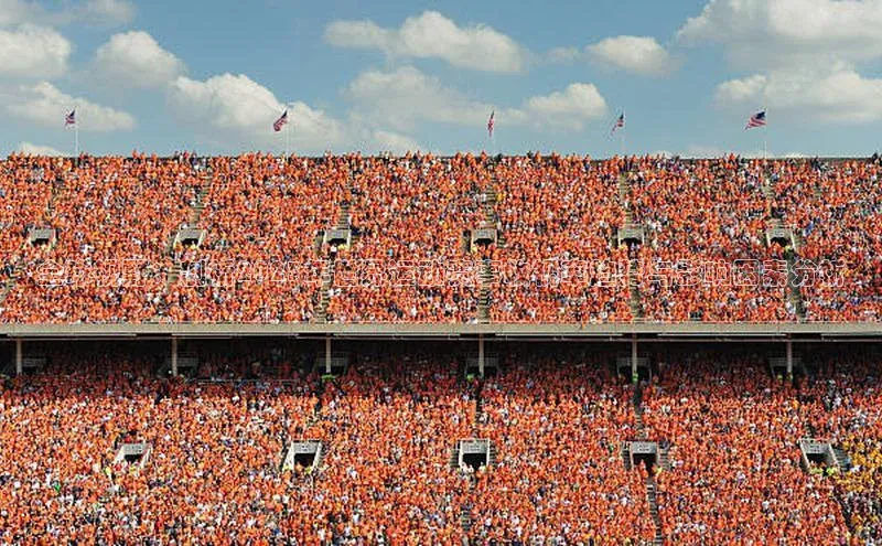 B体育网页登录版