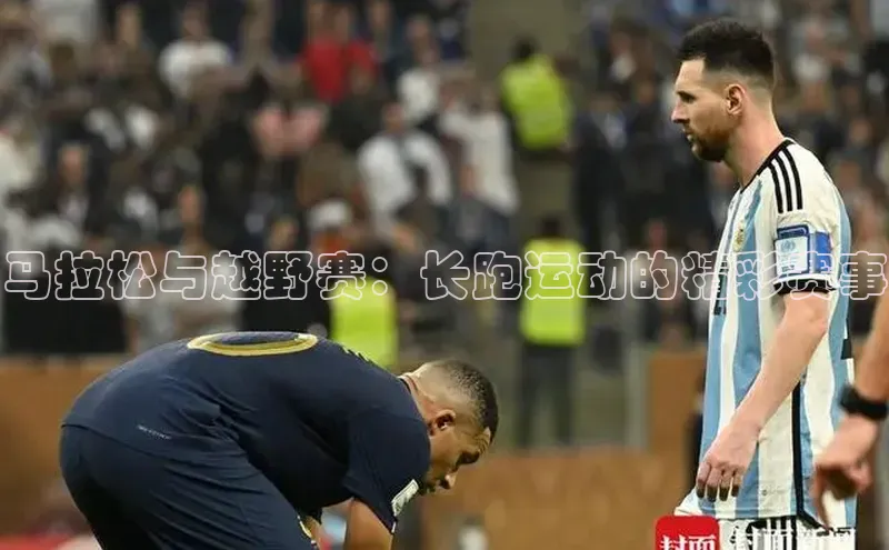 bsport体育最新官网入口