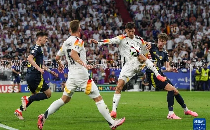 B体育官方网站入口官网