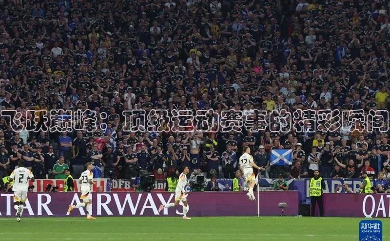 bsport体育最新官网入口