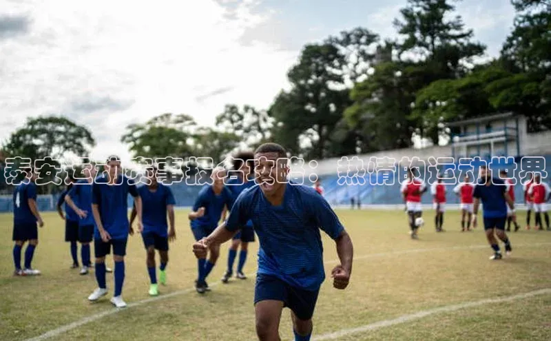 b体育必一运动官网