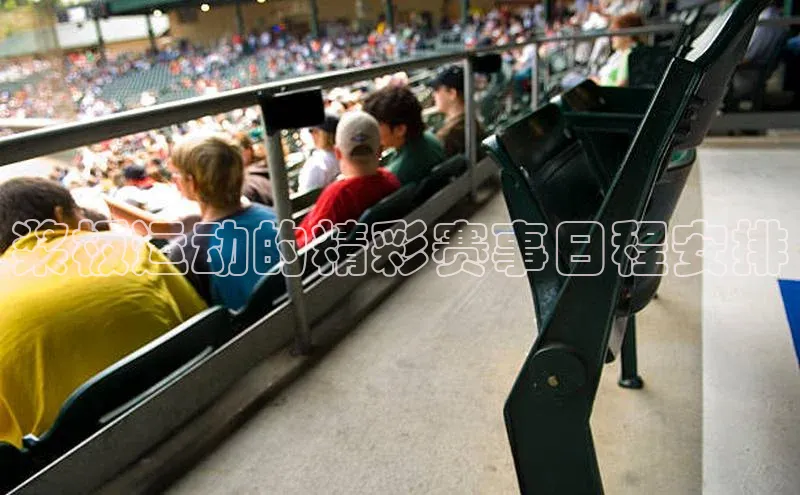 Bsports在线登录入口