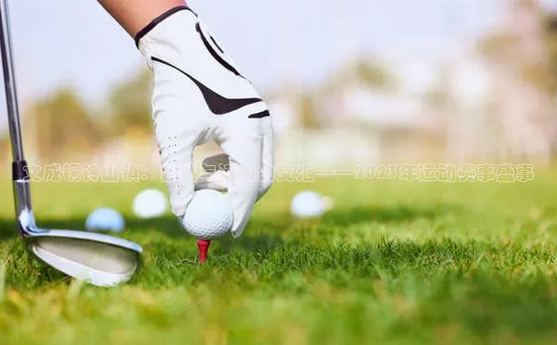 bsports官网 必一运动