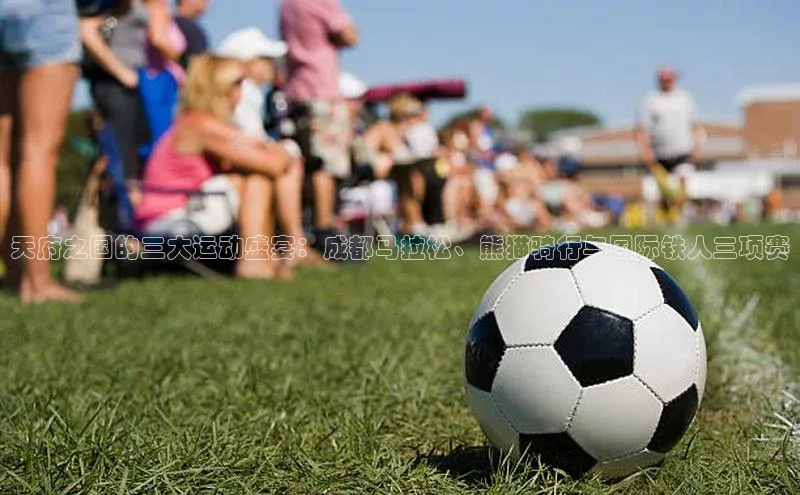 Bsports网页版登录入口