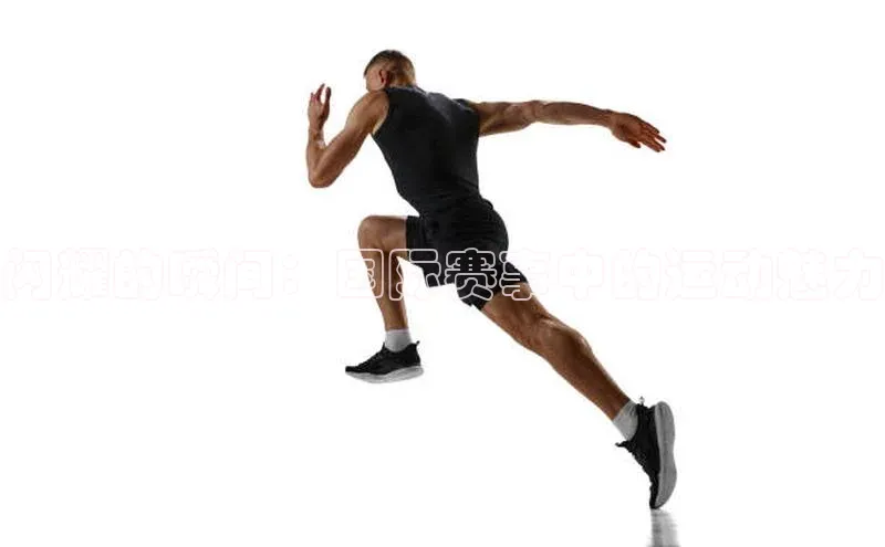 B·体育APP登录入口