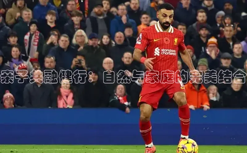 B体育官方入口APP