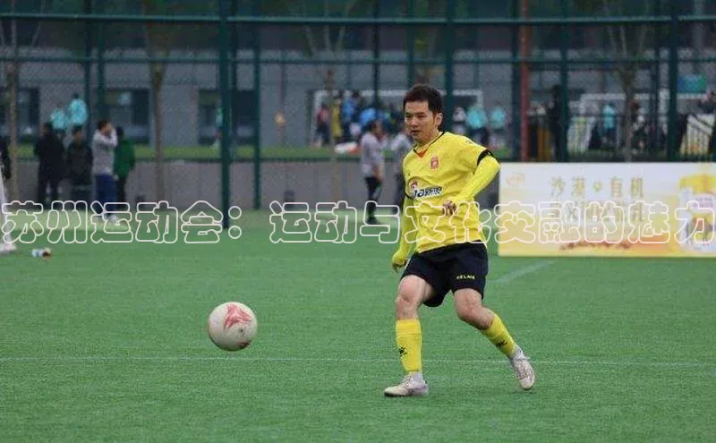 bsport体育最新官网入口