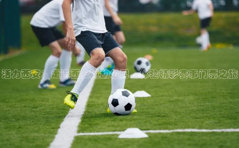 bsports必一中国